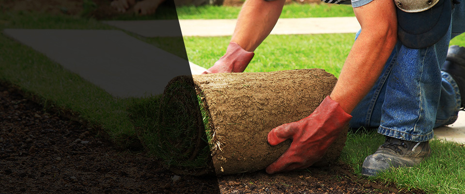 Boyceville Landscapers